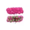 botao rosa mini espuma pink.png