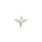 Divino N-1.png