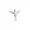 Divino N-3.png