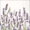 Guardanapo Decoupage 13315985 Lavender shades white.png
