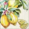 Guardanapo Decoupage 13318335 Sunny lemon.png