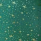 Tecido Oxford Natal shine fundo verde com dourado 222.V44.044.webp
