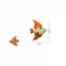 botao infantil peixe laranja.jpg