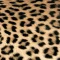 guardanapo para decoupagem 6530 Leopard Couture.jpg