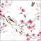 guardanapo para decoupagem 13311215 Bird & blossom.jpg