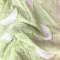 tecido soft  glow verde lua.jpg