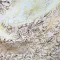 tecido oxford com foil natal 222.v44.018.jpg