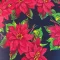 tecido oxford natal 151-02.jpg