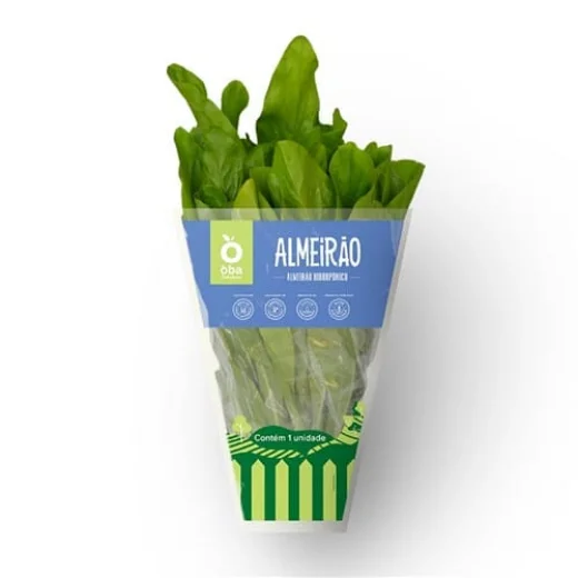 Almeirão Hidropônico Oba Bem Querer