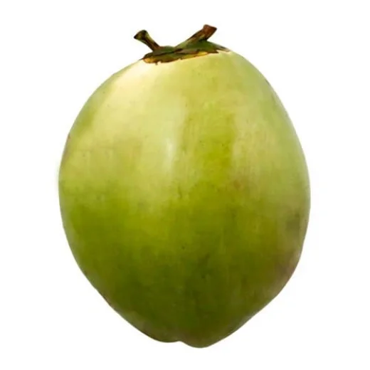 Coco Verde
