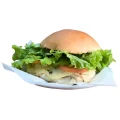 X SALADA HAMB�RGUER 120 GRAMAS