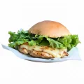 X FIL� DE FRANGO