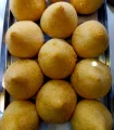 Coxinha de frango