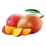 MANGA TOMMY->(100 G)