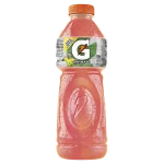 GATORADE MOR/MELANCIA 500ML
