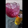 GIN MORANGO E HIBISCO