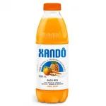 Suco Mix Xand� 900ml