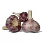Alho Roxo Kg N�8