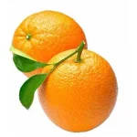 Laranja Bahia
