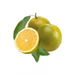Laranja Pera Kgi