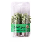 Manjeric�o Grego Salada Viva