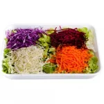 Salada Jardineira Especial Oba