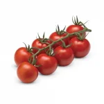 Tomate Cocktail