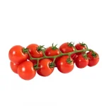 Tomate Holand�s com Rama