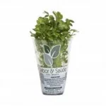 Ervas Aromatica Pt13 Sabor e Sa�de