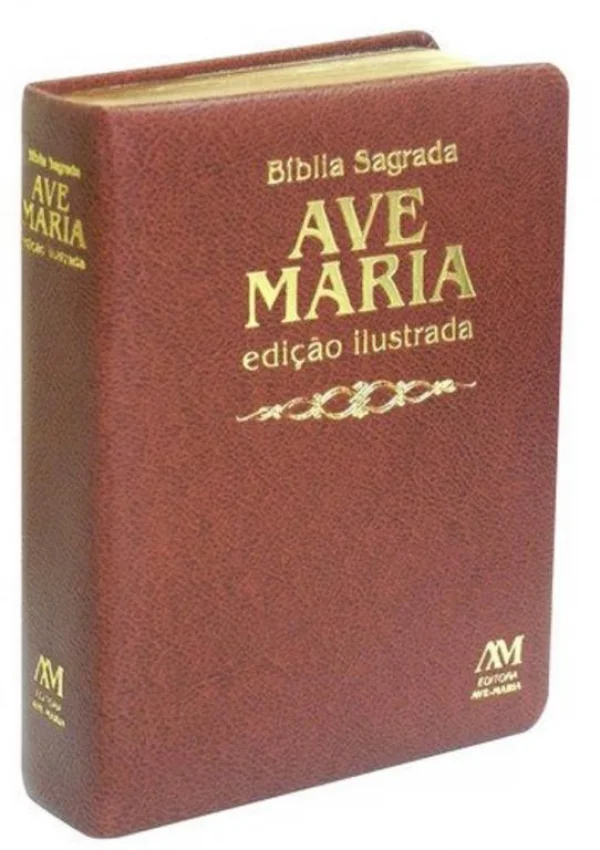 Bíblia edição ilustrada luxo - média - marrom: Ilustrada - Média - Marrom