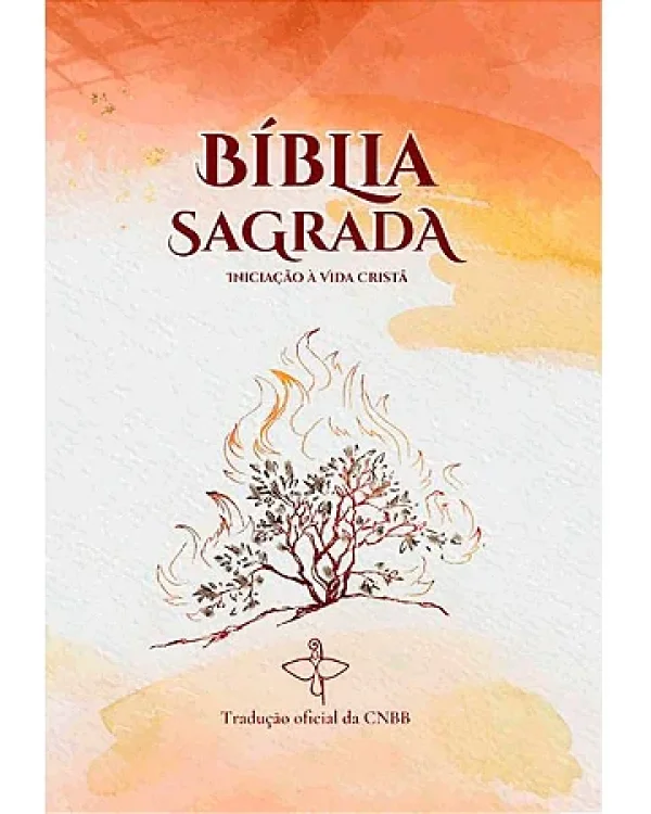 Bblia Sagrada Iniciao  Vida Crist - 6 Edio - Novo Design