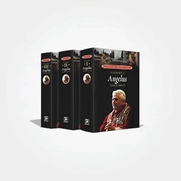 Box: Angelus do Papa Bento XVI