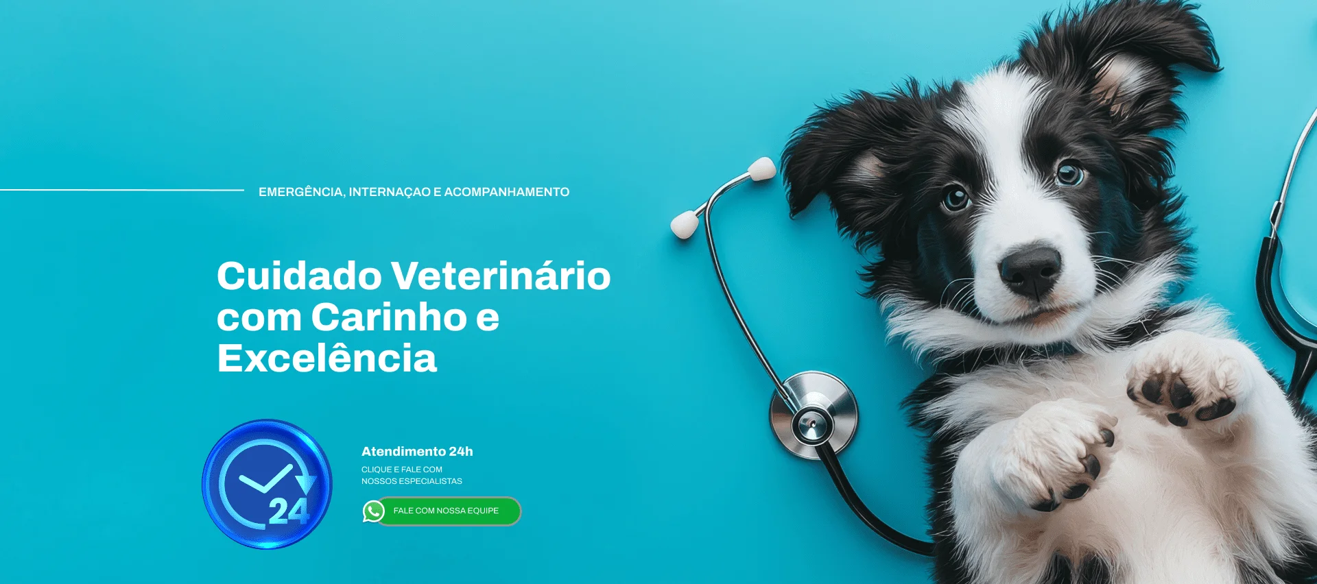 Hospital Veterinário