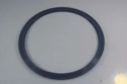 Anel Silicone da Porta 12L Autoclave DABI Modelo Antigo