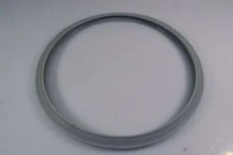 Anel de Silicone da Porta do Autoclave 12LX Dabi modelo novo