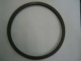 Anel Silicone da Porta Autoclave 19L Dabi