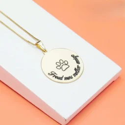 Colar com pingente personalizado - com nome do Pet - Frase: Meu melhor amigo- Banhado em Ouro.