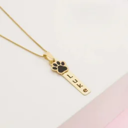 Colar com Patinha - nome do Pet personalizado - Banhado a Ouro.