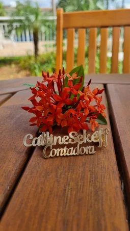 Broches profissionais - Banhado a Ouro