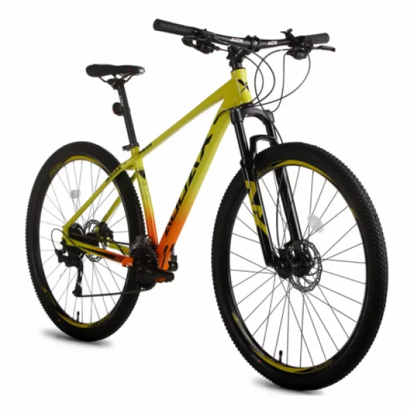 Bicicleta / Bike Audax Havok NX