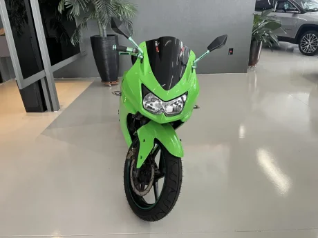 KAWASAKI Ninja 250 R, Foto 2