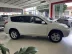 TOYOTA RAV 4 2.4 16V 4P AUTOMTICO, Foto 9