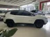 JEEP Compass 2.0 16V 4P LIMITED TURBO DIESEL 4X4 AUTOM�TICO, Foto 9