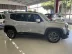 JEEP Renegade 1.8 16V 4P FLEX LONGITUDE AUTOMTICO, Foto 9