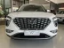 HYUNDAI Creta 1.0 12V 4P FLEX TGDI TURBO LIMITED AUTOM�TICO, Foto 8