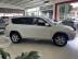 TOYOTA RAV 4 2.4 16V 4P AUTOMTICO, Foto 9