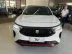 FIAT Fastback 1.3 16V 4P FLEX ABARTH TURBO 270 AUTOMTICO, Foto 8