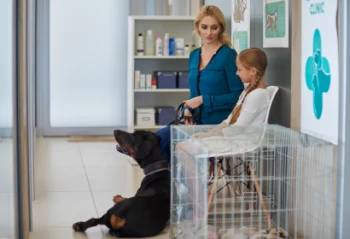 Consulta de Rotina: A Importncia do Cuidado Preventivo para Seu Pet