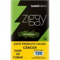 Ziggy - Hapocalyx Mint Ziggy - Hapocalyx Mint