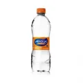 �gua Mineral com G�s Aragu� Garrafa 510ml